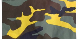 Introduction to the transfer printing process of Oxford cloth