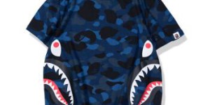 Which women’s plus-size clothing brand is the best (learn about women’s plus-size clothing brand recommendations)