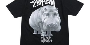 How to choose short-sleeved T-shirts for girls in the hot summer (comfortable and fashionable)