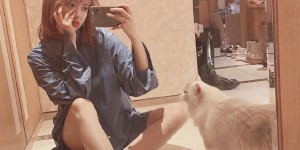 Cheng Xiao is indeed a cute girl (polo shirt + white short skirt and high ponytail, full of youthfulness)