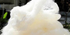 What are the advantages of combed cotton (do you know what underwear materials are)