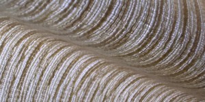 What kind of leather is pu leather (the difference between pu leather and natural leather)