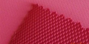 What are the characteristics of polyester waterproof coating?