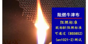 Performance classification of flame retardant fabrics in Oxford cloth