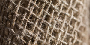 The difference between ramie and linen fabrics