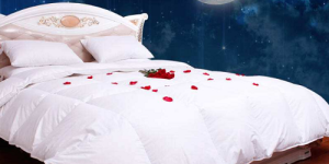 Is goose down or silk quilt better?