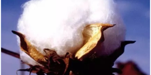 What does the fabric count mean? Which one is better, 40s or 60s